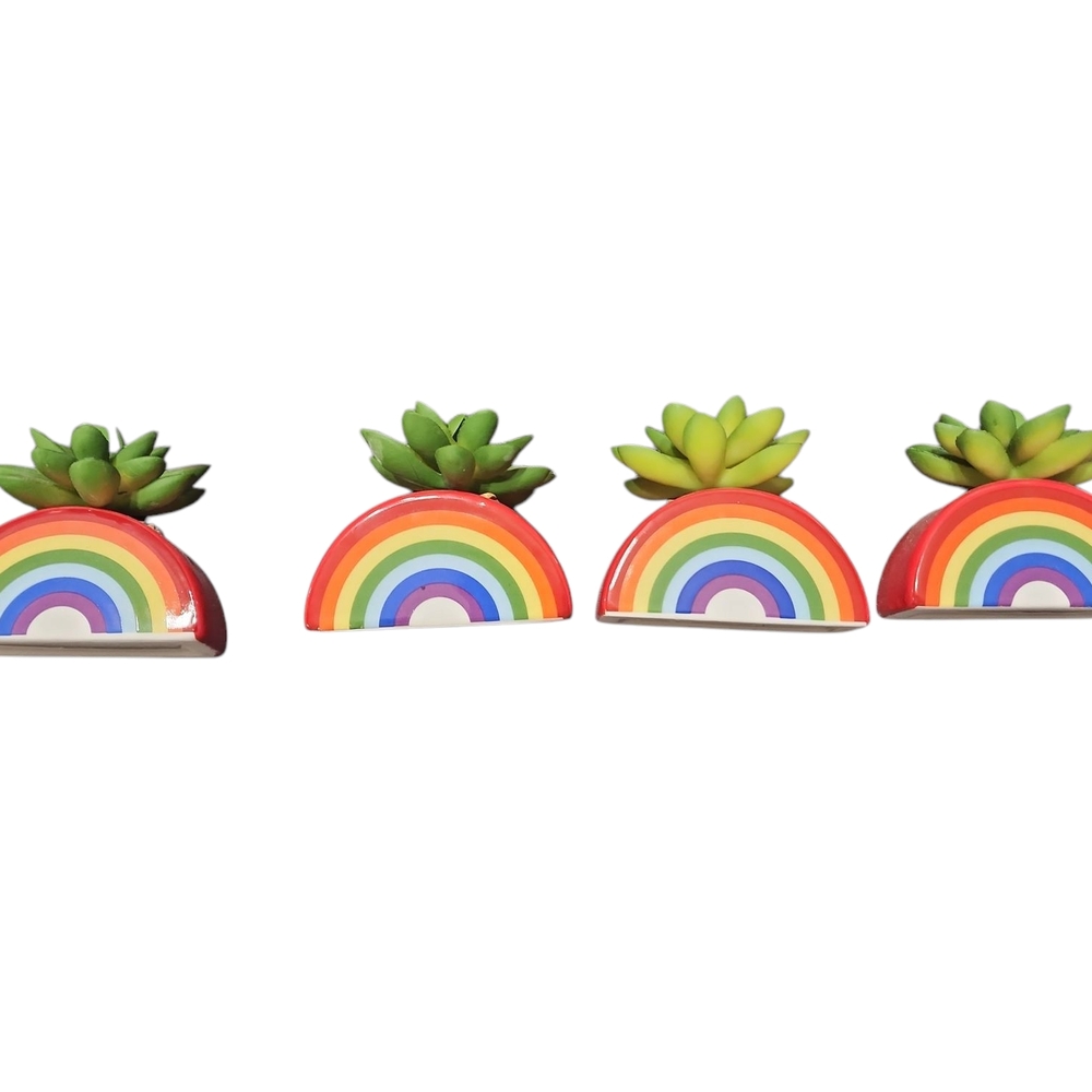 NWOT Set Of 4 Rainbow Succulent Mini  Planters Plants Included Riser Not 4sale